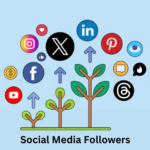 social media followers