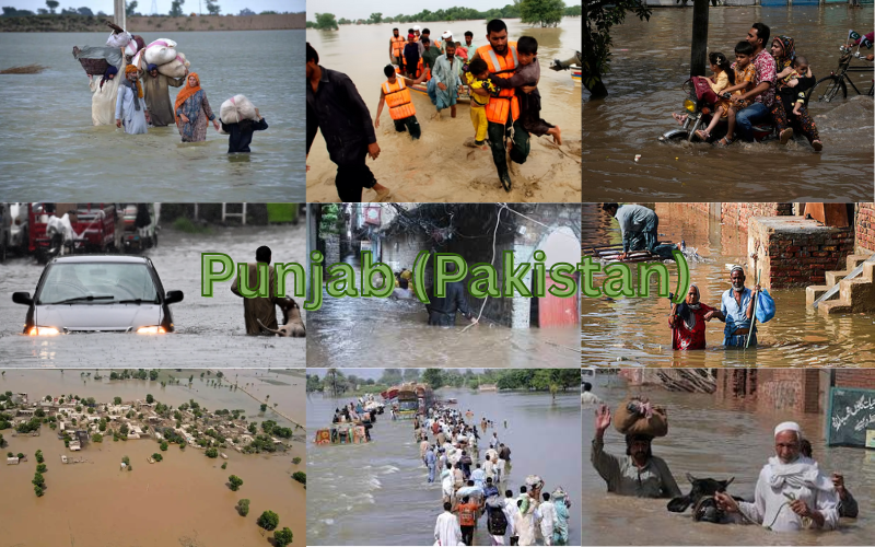Current Flood Situation in Pakistan and India 2025 – Causes, Impact & Government Plans