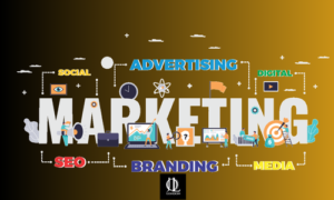 SEO & Digital Marketing